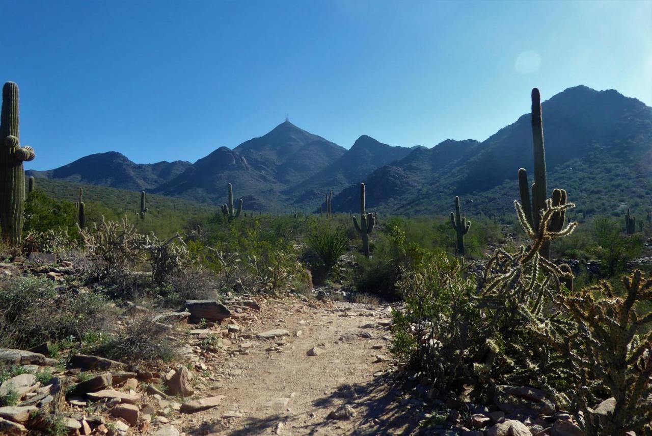 Luxury Vacation By Meridian Condoresorts Scottsdale